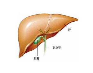 福州胆囊癌哪里治疗好